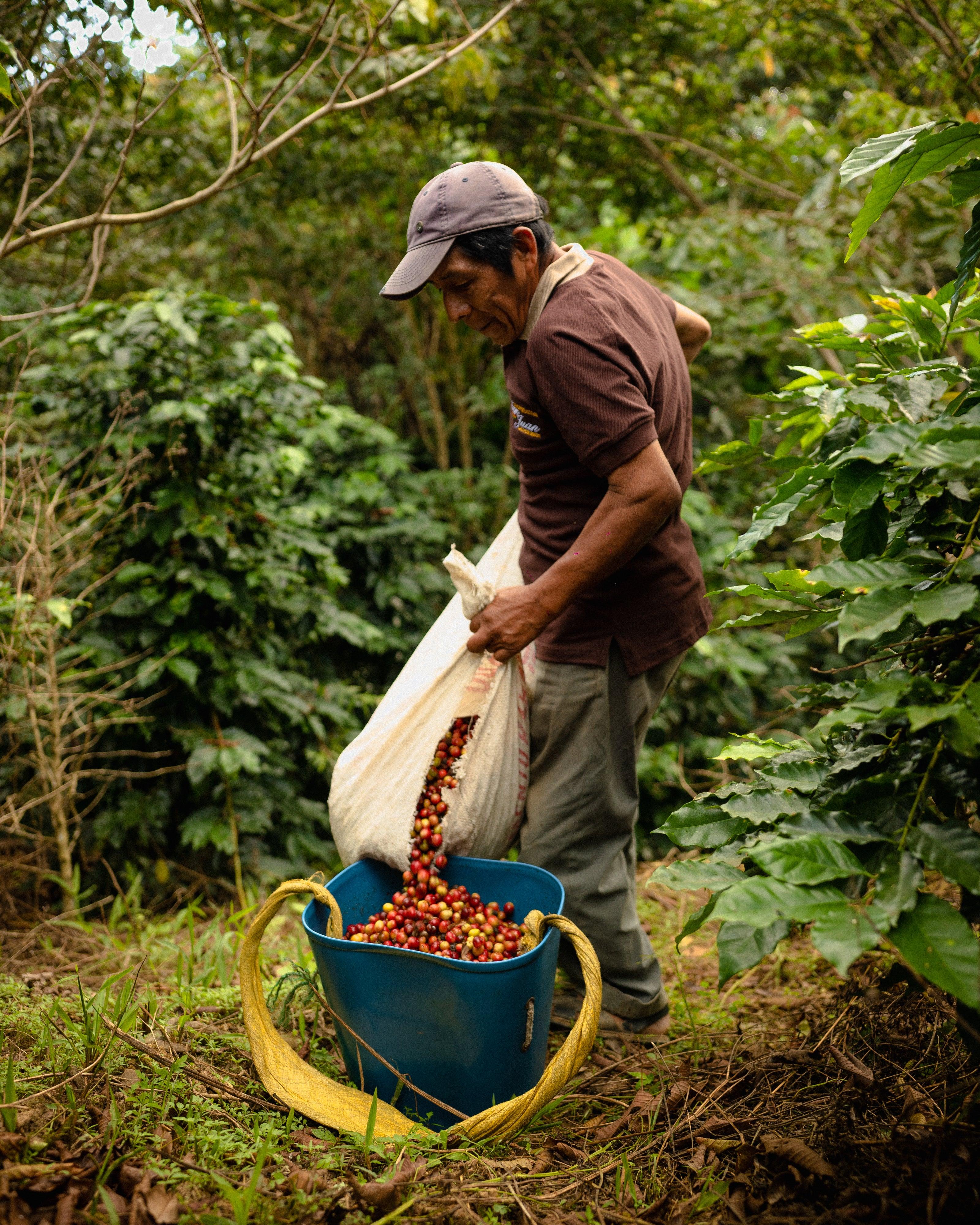 Perú